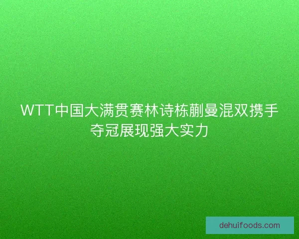 WTT中国大满贯赛林诗栋蒯曼混双携手夺冠展现强大实力