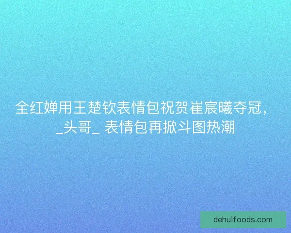 全红婵用王楚钦表情包祝贺崔宸曦夺冠，_头哥_ 表情包再掀斗图热潮