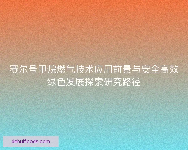 赛尔号甲烷燃气技术应用前景与安全高效绿色发展探索研究路径
