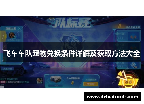 飞车车队宠物兑换条件详解及获取方法大全