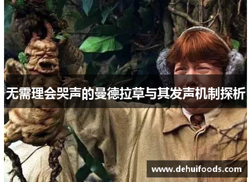 无需理会哭声的曼德拉草与其发声机制探析